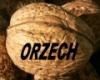 ORZECH1976
