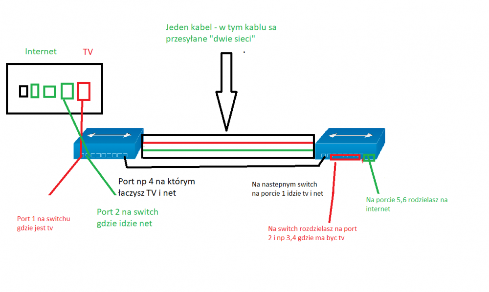 Bez tytułu.png