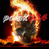 polak084